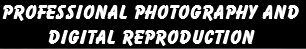 Professional Photography and
Digital Reproduction